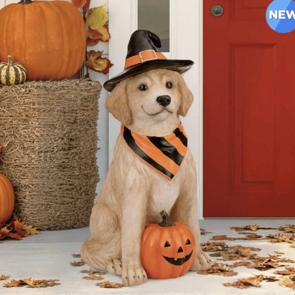 Halloween чимэглэл